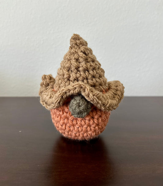 Home Gnomes
