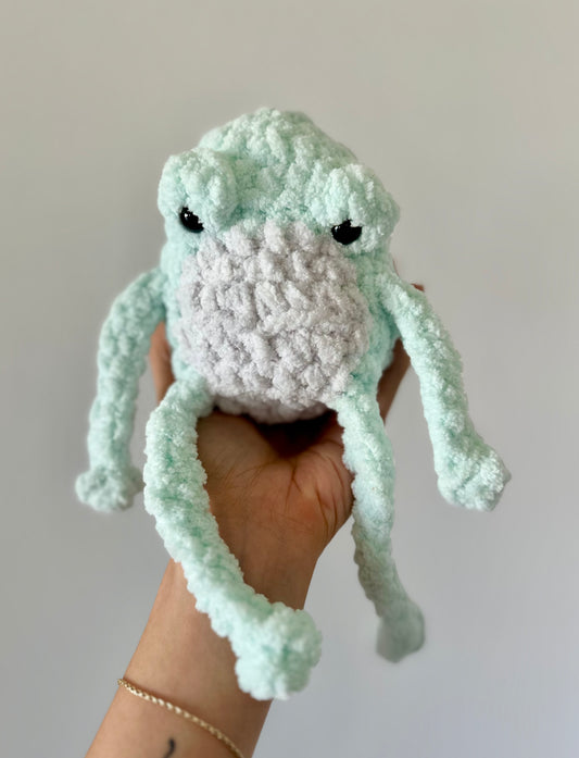 Grumpy Frog