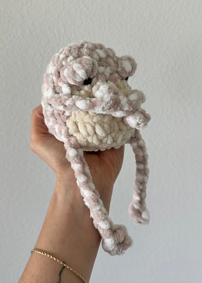 Grumpy Frog